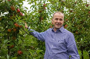 Boosting apple production with specialist training system